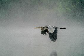 Wildlife At The Oxbow Nature Conservancy