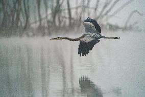 Wildlife At The Oxbow Nature Conservancy