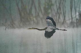 Wildlife At The Oxbow Nature Conservancy