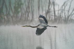 Wildlife At The Oxbow Nature Conservancy