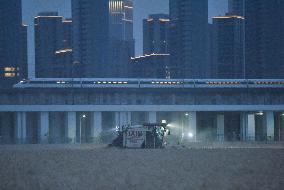 Wheat Harvest in Hangzhou