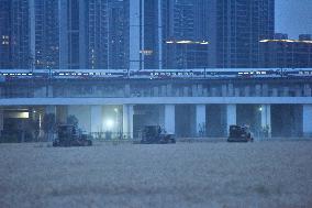 Wheat Harvest in Hangzhou