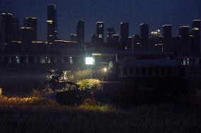 Wheat Harvest in Hangzhou