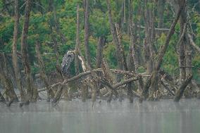 Wildlife At The Oxbow Nature Conservancy