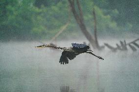 Wildlife At The Oxbow Nature Conservancy