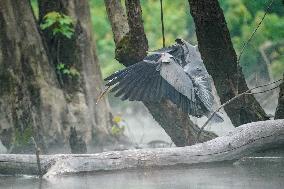 Wildlife At The Oxbow Nature Conservancy