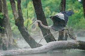 Wildlife At The Oxbow Nature Conservancy