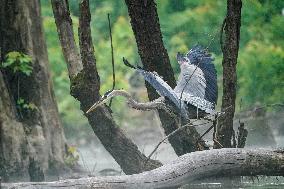 Wildlife At The Oxbow Nature Conservancy