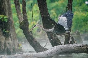 Wildlife At The Oxbow Nature Conservancy