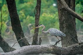 Wildlife At The Oxbow Nature Conservancy