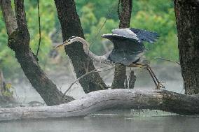 Wildlife At The Oxbow Nature Conservancy