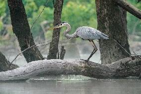 Wildlife At The Oxbow Nature Conservancy