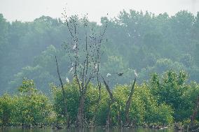 Wildlife At The Oxbow Nature Conservancy