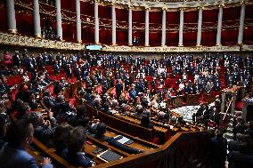 Pro-Palestinian Demonstration At The National Assembly - Paris