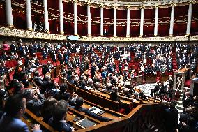 Pro-Palestinian Demonstration At The National Assembly - Paris