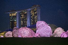 SINGAPORE-LIGHT FESTIVAL
