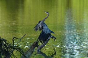 Wildlife At The Oxbow Nature Conservancy