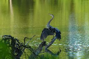 Wildlife At The Oxbow Nature Conservancy