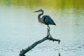 Wildlife At The Oxbow Nature Conservancy