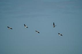 Wildlife At The Oxbow Nature Conservancy