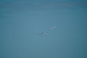 Wildlife At The Oxbow Nature Conservancy