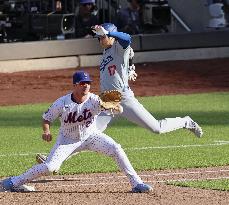 Baseball: Dodgers vs. Mets