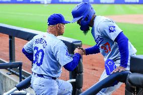 MLB Los Angeles Dodgers Vs. New York Mets