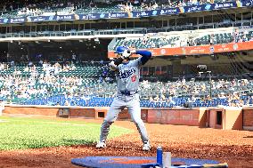 MLB Los Angeles Dodgers Vs. New York Mets