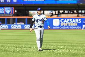 MLB Los Angeles Dodgers Vs. New York Mets