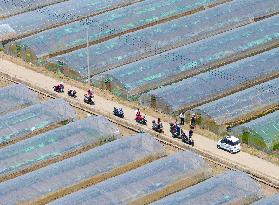 Chinese Agriculture