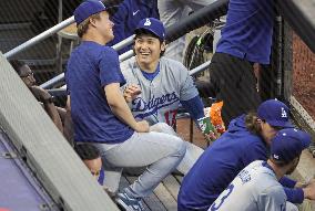 Baseball: Dodgers vs. Mets