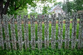 Moss covered wooden fence