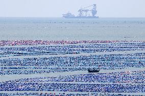 Marine Ecological Farming in Fuzhou