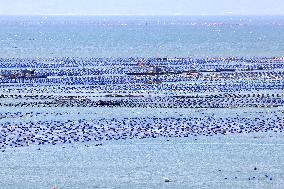 Marine Ecological Farming in Fuzhou