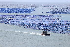 Marine Ecological Farming in Fuzhou