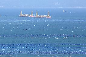 Marine Ecological Farming in Fuzhou