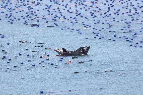 Marine Ecological Farming in Fuzhou