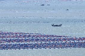 Marine Ecological Farming in Fuzhou