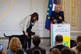 Award ceremony No to bullying at the Elysee - Paris
