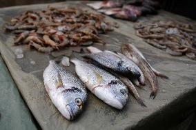 Fishermen In Egypt