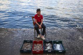 Fishermen In Egypt