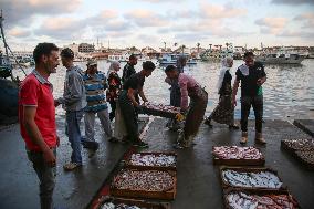 Fishermen In Egypt