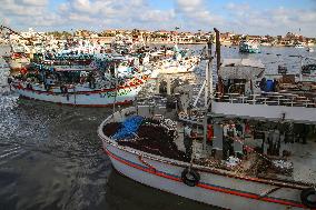 Fishermen In Egypt