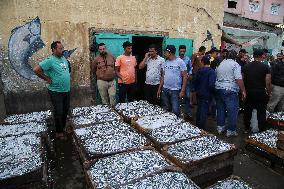 Fishermen In Egypt