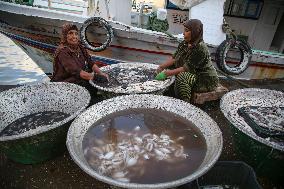 Fishermen In Egypt