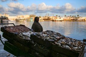 Fishermen In Egypt