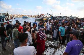 Fishermen In Egypt