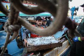 Fishermen In Egypt