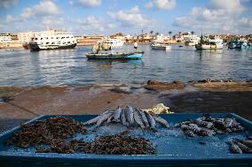 Fishermen In Egypt