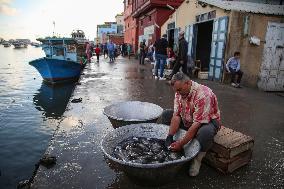 Fishermen In Egypt